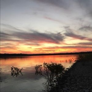 Meet your Posher, Shelby